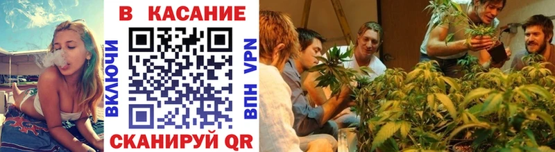 Купить закладку Зеленогорск Галлюциногенные грибы  Меф  ГАШ  Канабис  Cocaine 