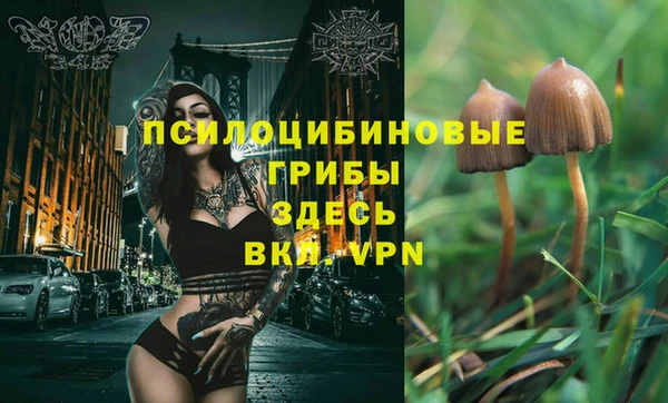 бошки Беломорск