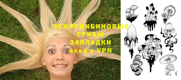 молекула духа Баксан