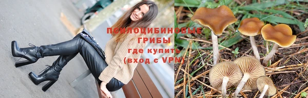 бошки Беломорск