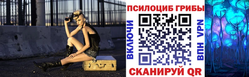 Галлюциногенные грибы Psilocybe  Зеленогорск 